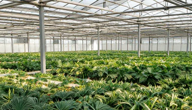 武装押运服务的适用条件及选择依据
