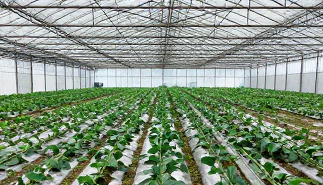安全防范服务选择依据影响整体效果的原因分析
